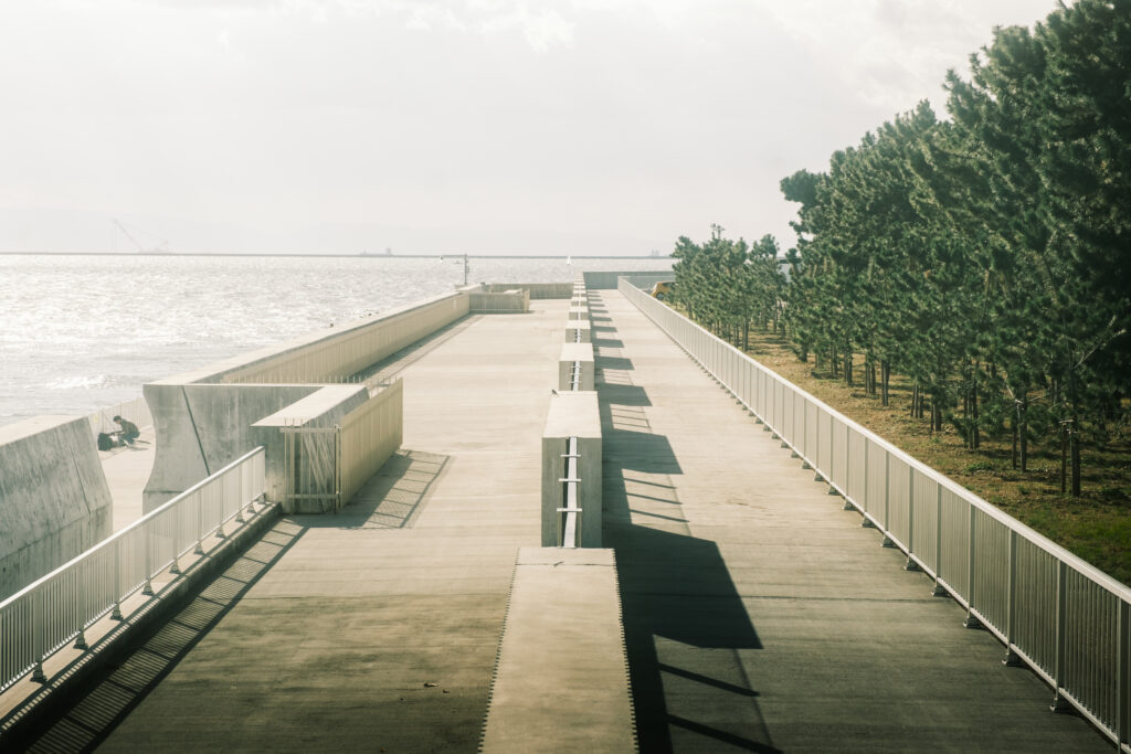 尼崎西宮芦屋港海岸　南芦屋浜東護岸改修工事（その２）